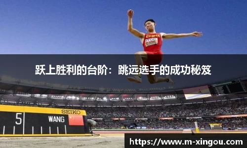 星欧官方网站